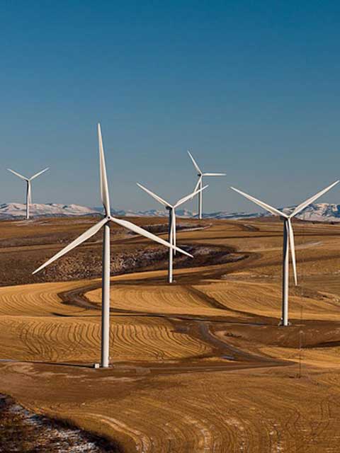 短信轰在线轰炸